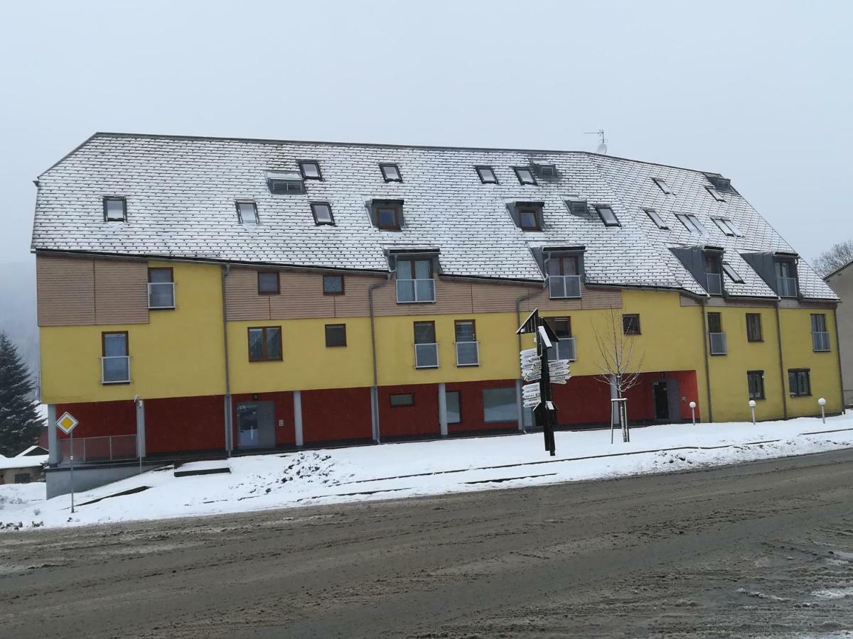 Apartman Destna Cp.1 Дештне-в-Орлицьких-Горах Екстер'єр фото